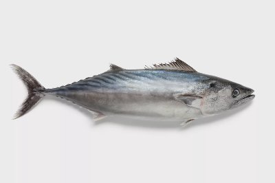 Черноморски паламуд пресен, изчистен