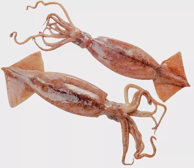 Калмари лолиго от нашата витрина