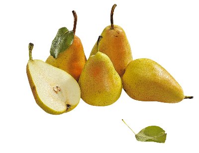 Круши Санта Мария 