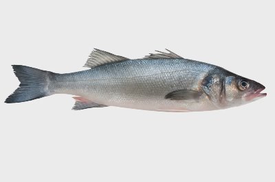 Лаврак от свежата витрина