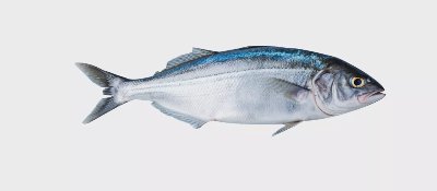 Лефер пресен