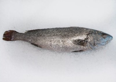 Милокоп от свежата витрина