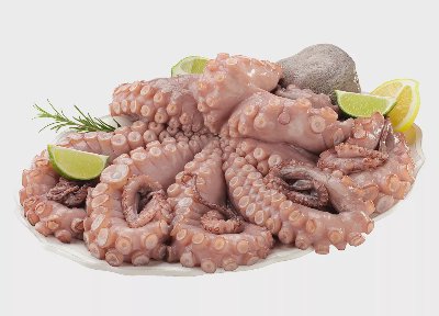 Октопод от нашата витрина