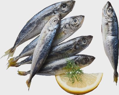 Сафрид от свежата витрина