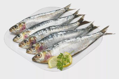 Сардина 